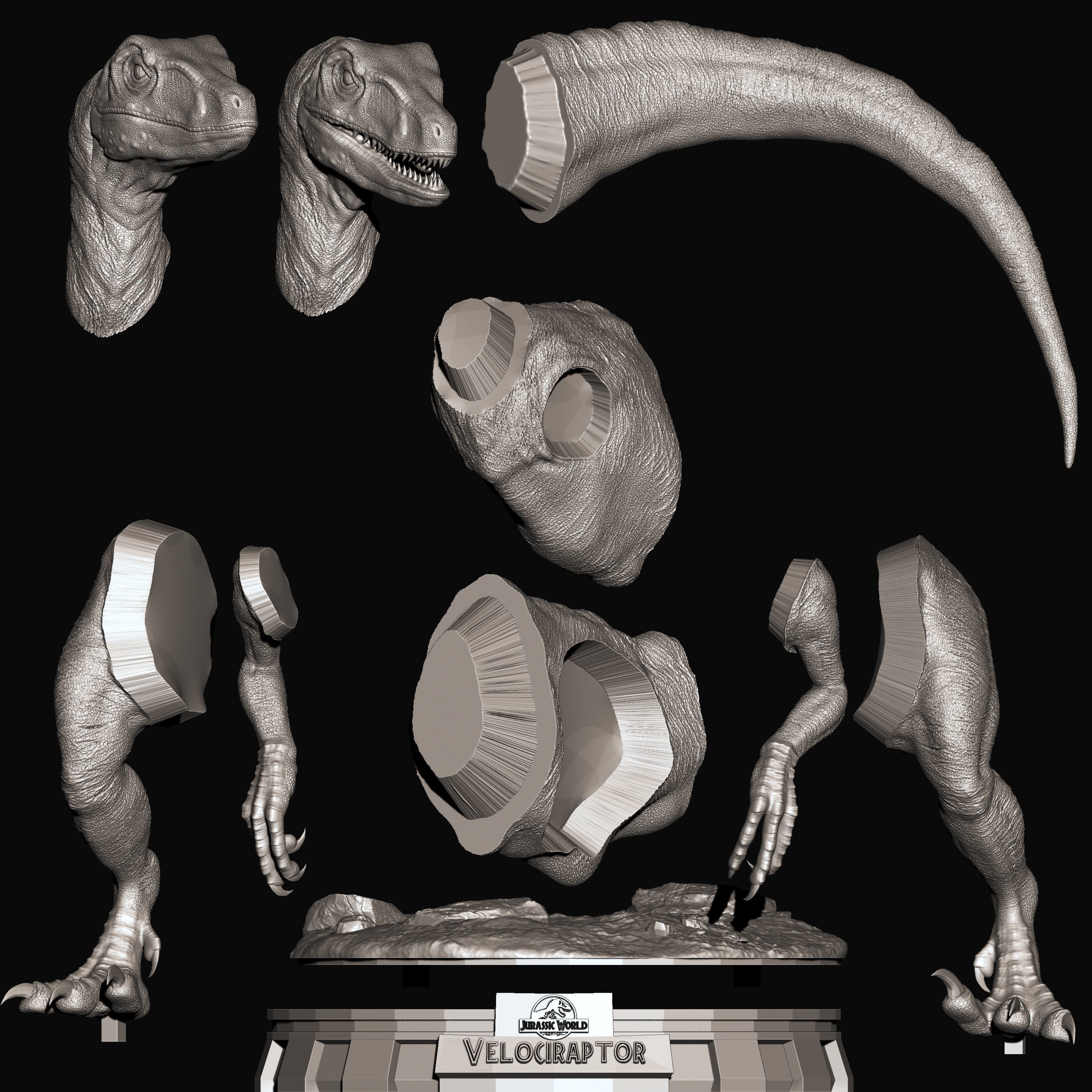 5 Pack Dinosaurs for 3d Print 3D print model_10