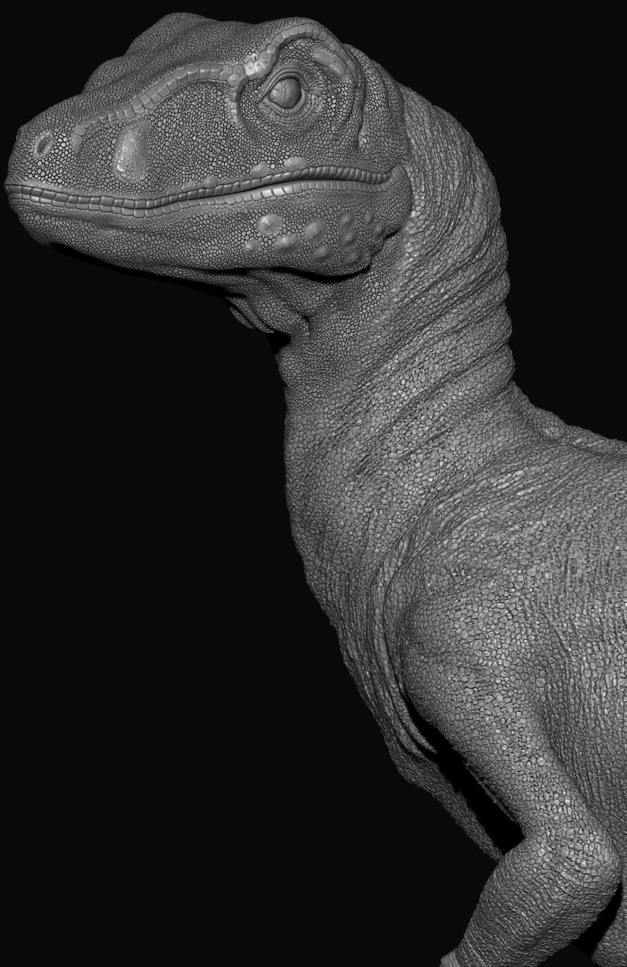 5 Pack Dinosaurs for 3d Print 3D print model_11