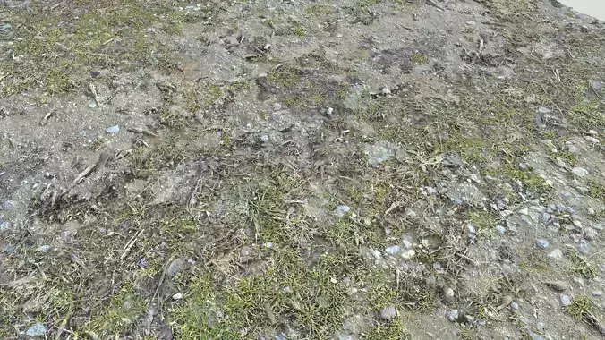 Forest ground PBR Pack 8