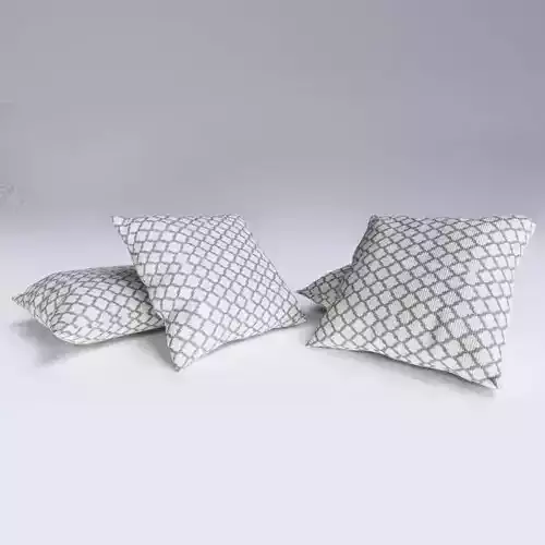 Contemporary Cushion
