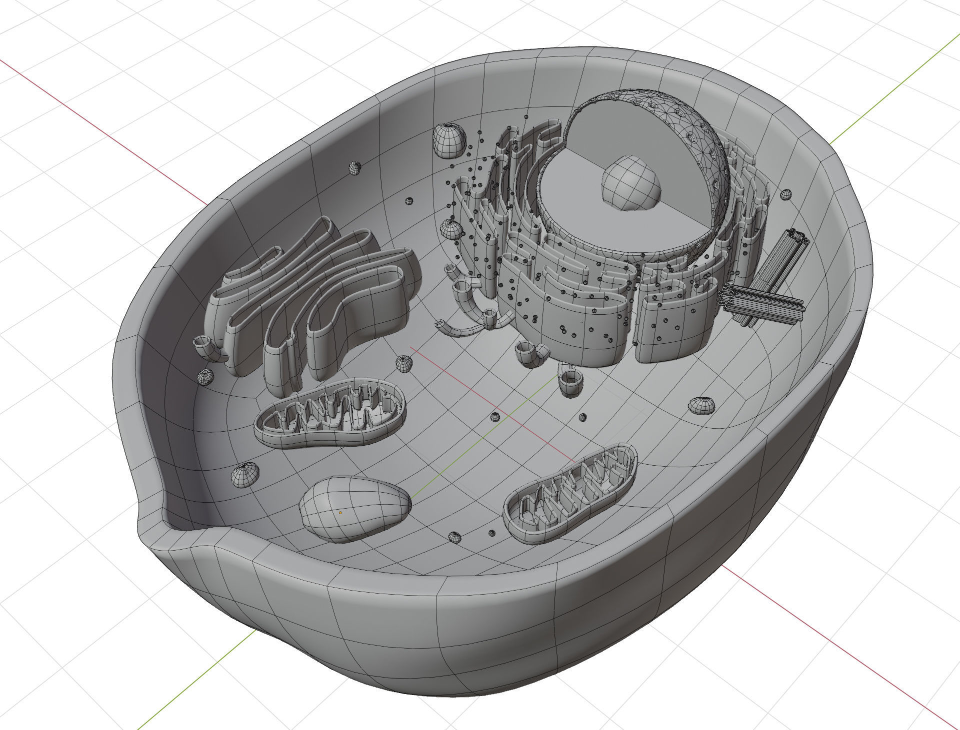 Animal Cell Low-poly 3D model_1