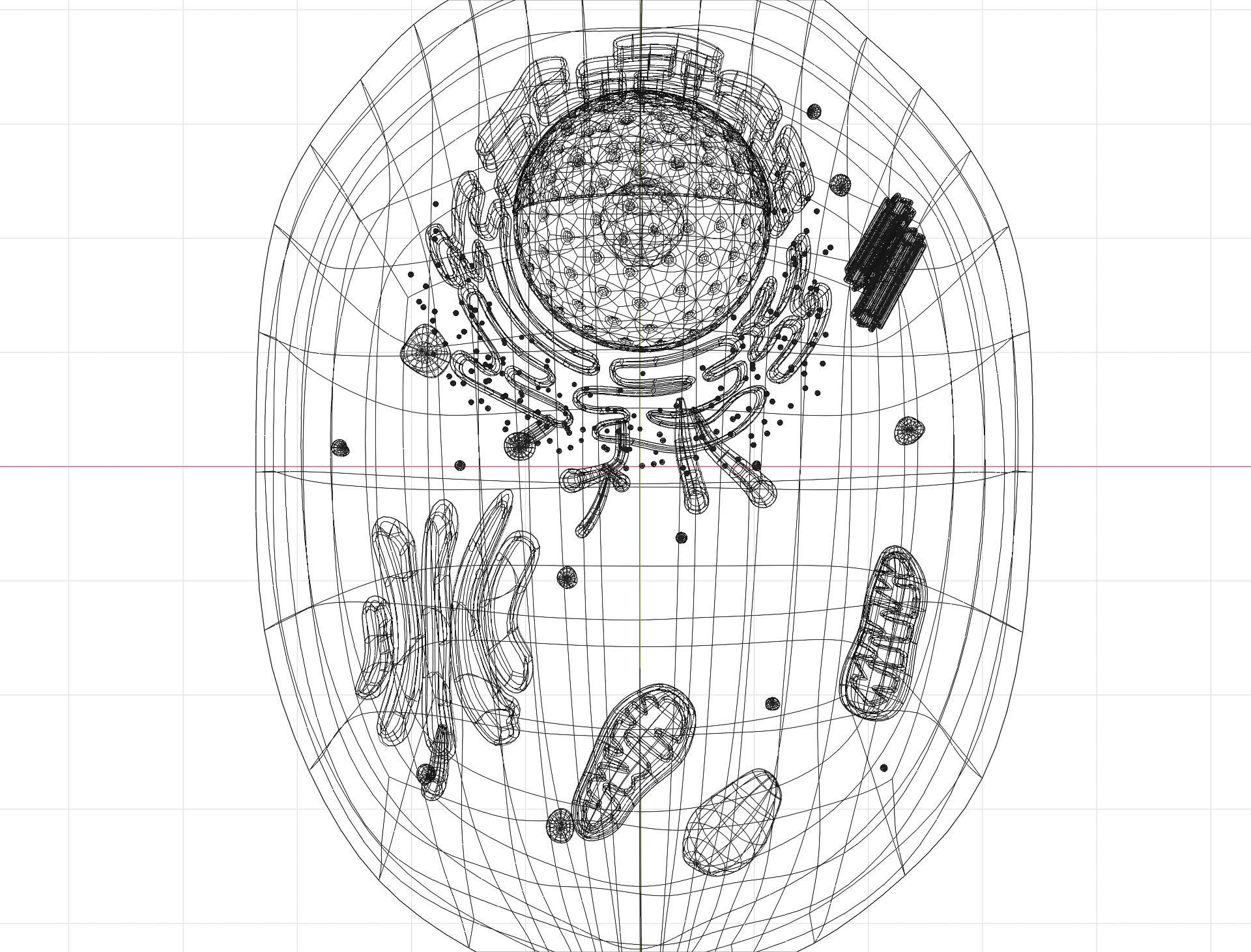 Animal Cell Low-poly 3D model_6