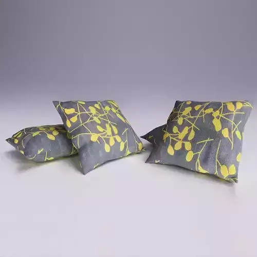 Contemporary Cushion