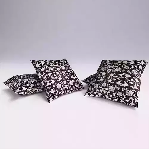 Contemporary Cushion