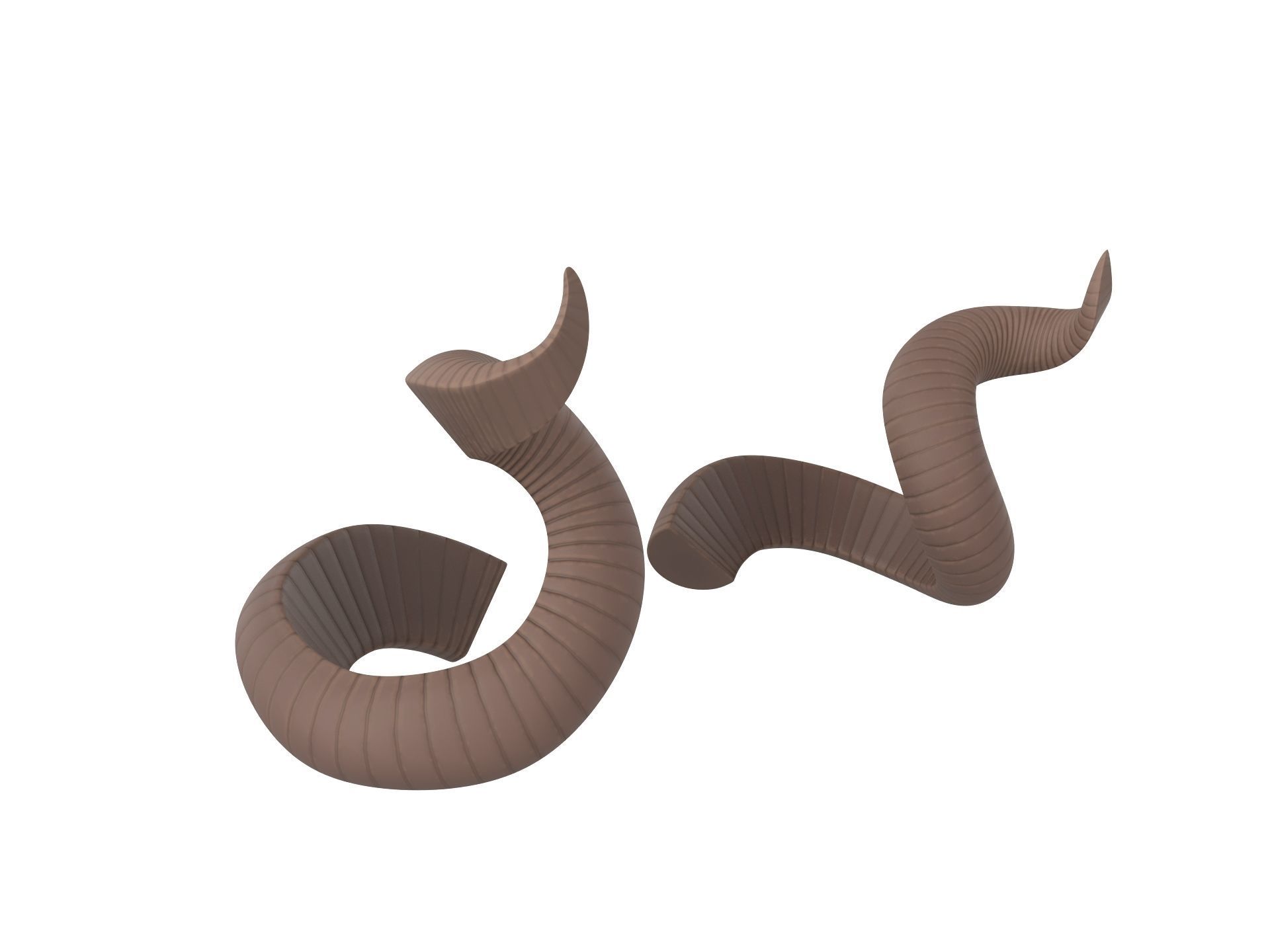 Kudu Horn 3D model_3