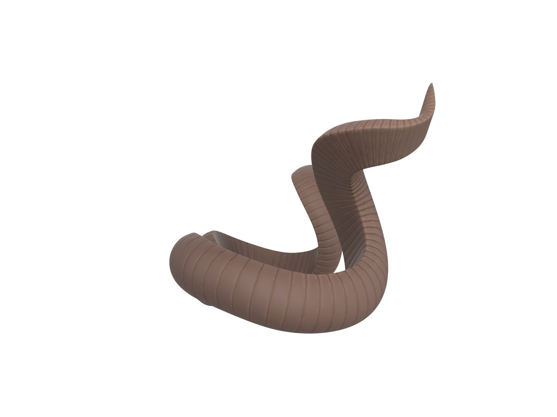 Kudu Horn 3D model_2