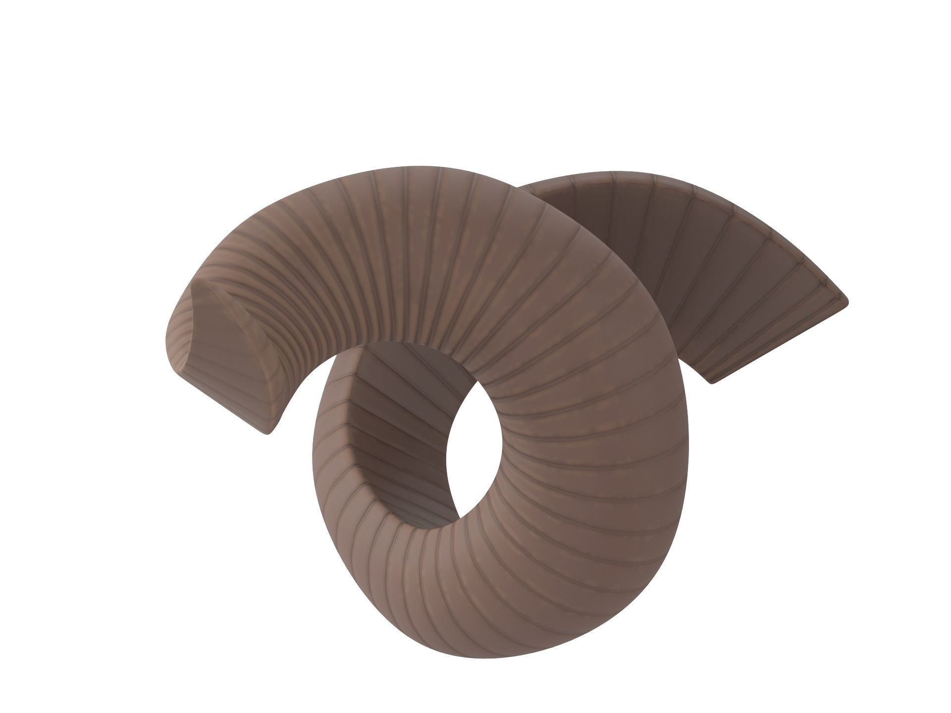 Kudu Horn 3D model_4