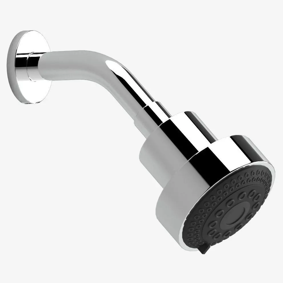 Dorn Bracht shower head 3D model_0