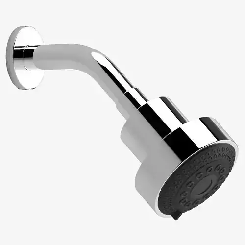 Dorn Bracht shower head