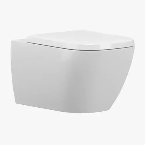 Duravit toilet
