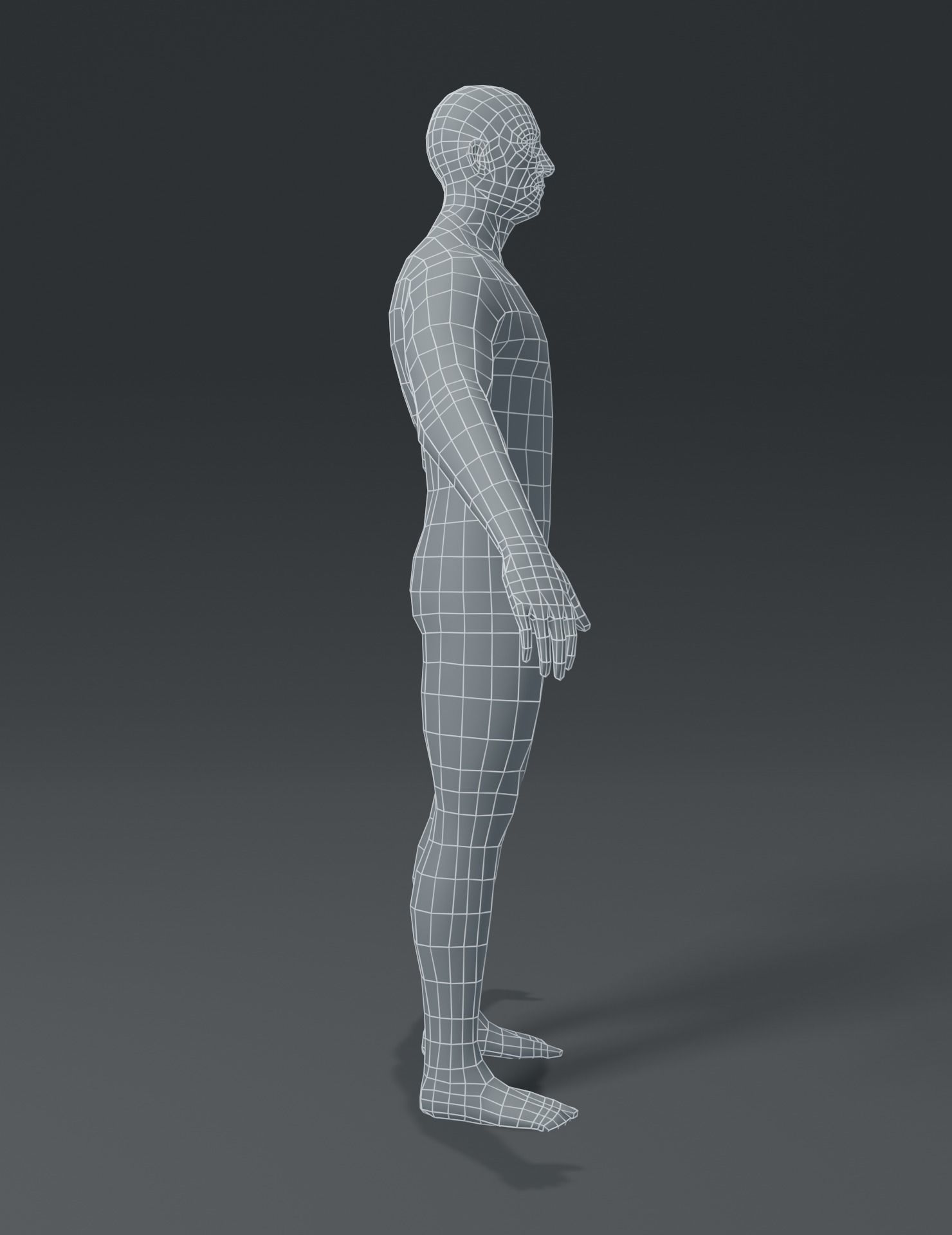 Male Body Base Mesh 3D Model Low-poly 3D model_5