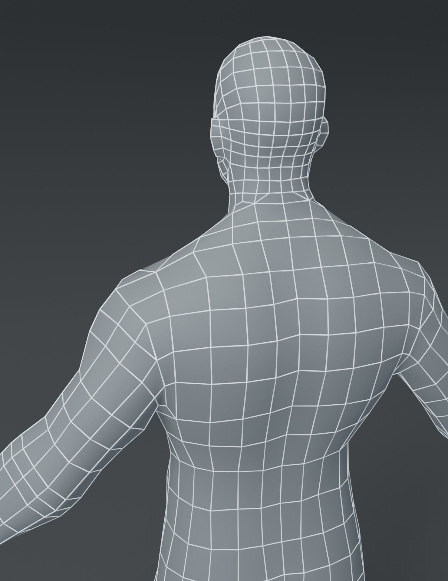 Male Body Base Mesh 3D Model Low-poly 3D model_17
