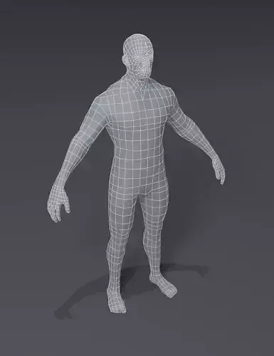 Male Body Base Mesh 3D Model Low-poly 3D model