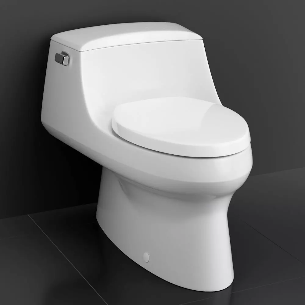 Toilet San Raphael 3D model