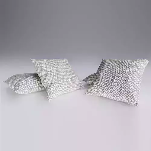 Contemporary Cushion