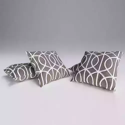 Contemporary Cushion