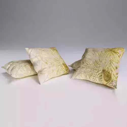 Contemporary Cushion