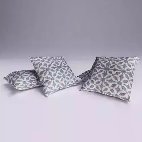 Contemporary Cushion