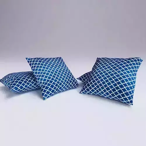 Contemporary Cushion