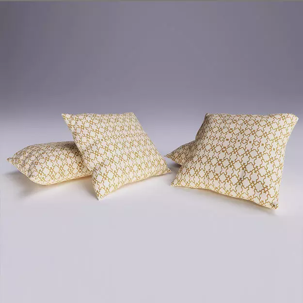 Contemporary Cushion 3D model_0