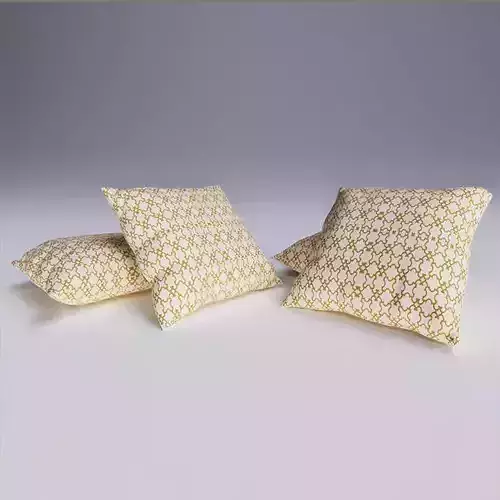 Contemporary Cushion