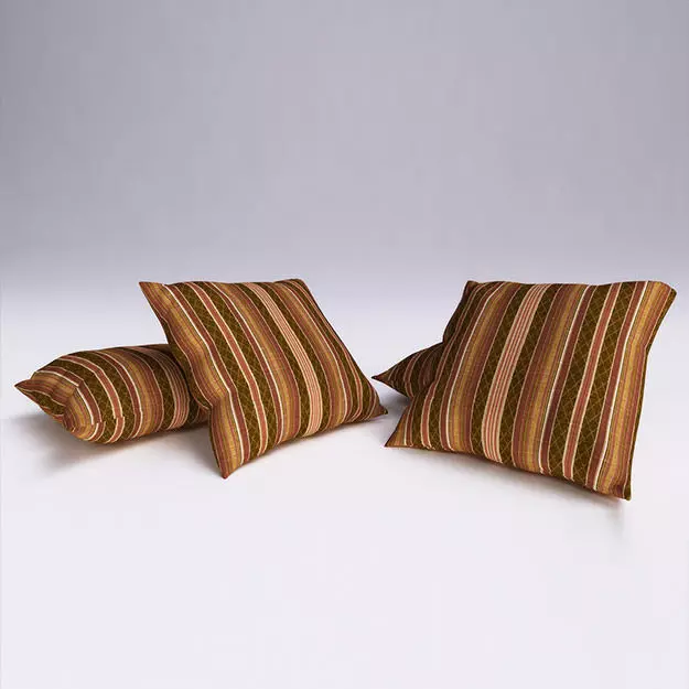 Contemporary Cushion 3D model_0