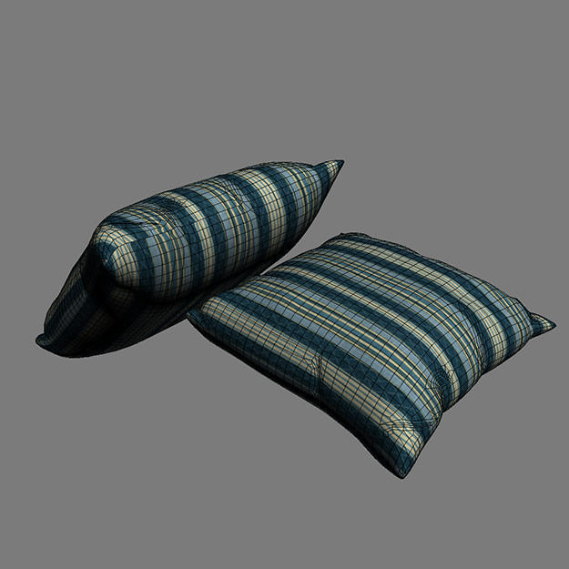 Contemporary Cushion 3D model_9
