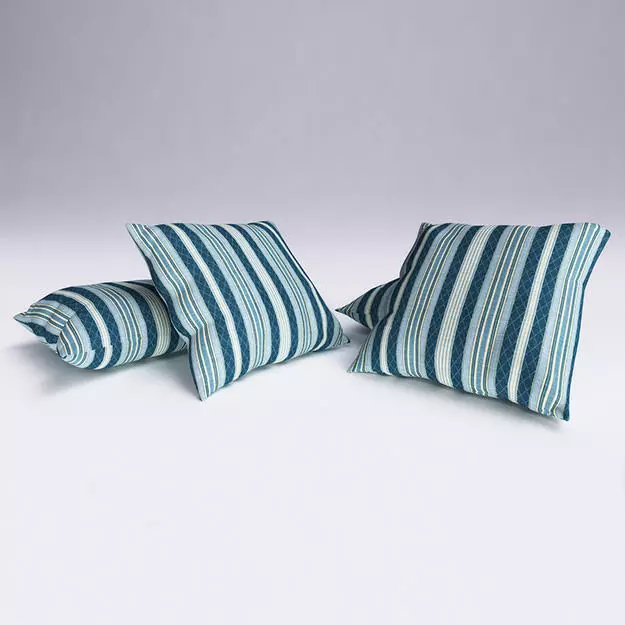 Contemporary Cushion 3D model_0