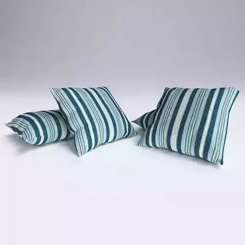 Contemporary Cushion