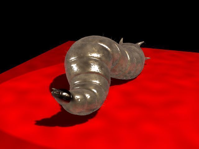 Maggot Rigged 3D model_2