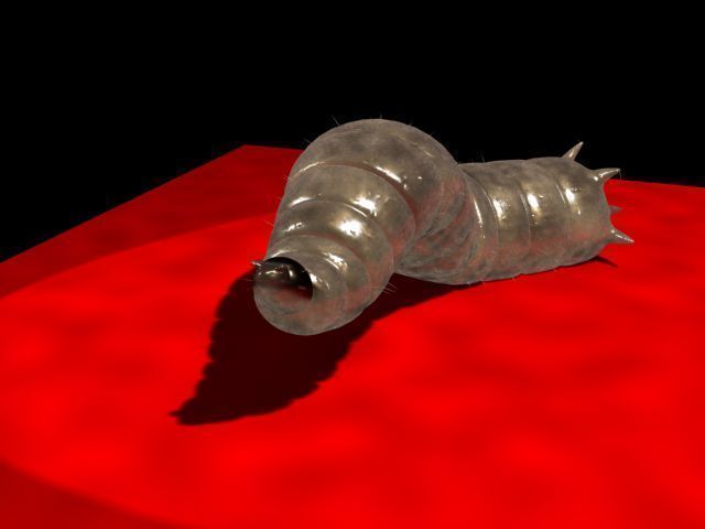 Maggot Rigged 3D model_4