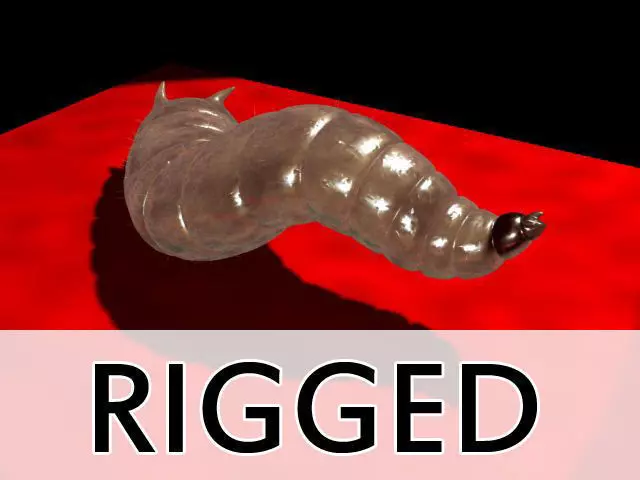 Maggot Rigged 3D model_0