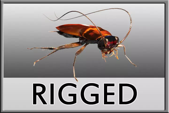 Cockroach Rigged 3D model_0