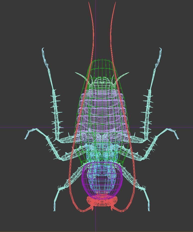 Cockroach Rigged 3D model_5