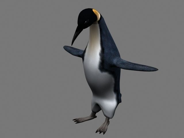 Penguin Rigged 3D model_5