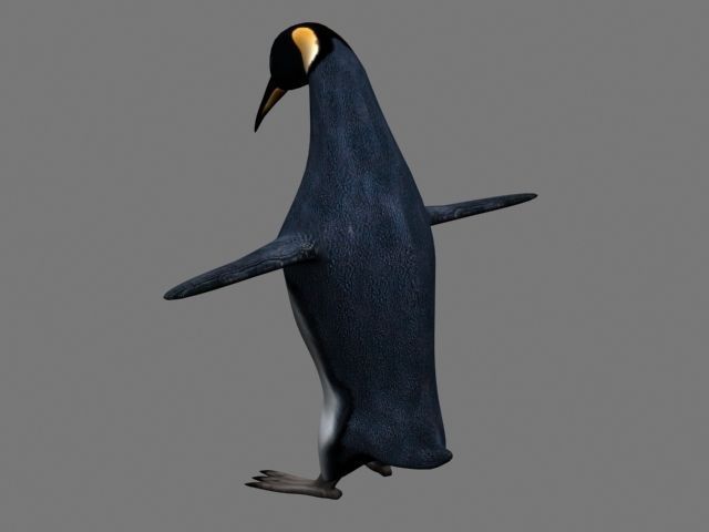 Penguin Rigged 3D model_6