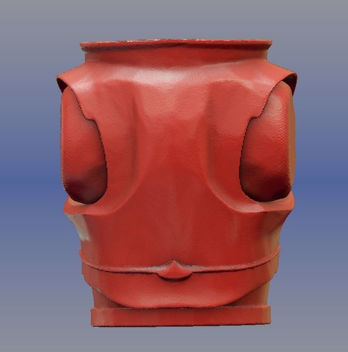 2 Pi Female Torsos 3D print model_3