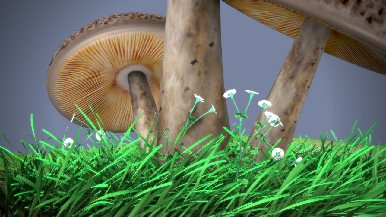 mushrooms three on grassy field Low-poly 3D model_2