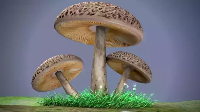 mushrooms three on grassy field