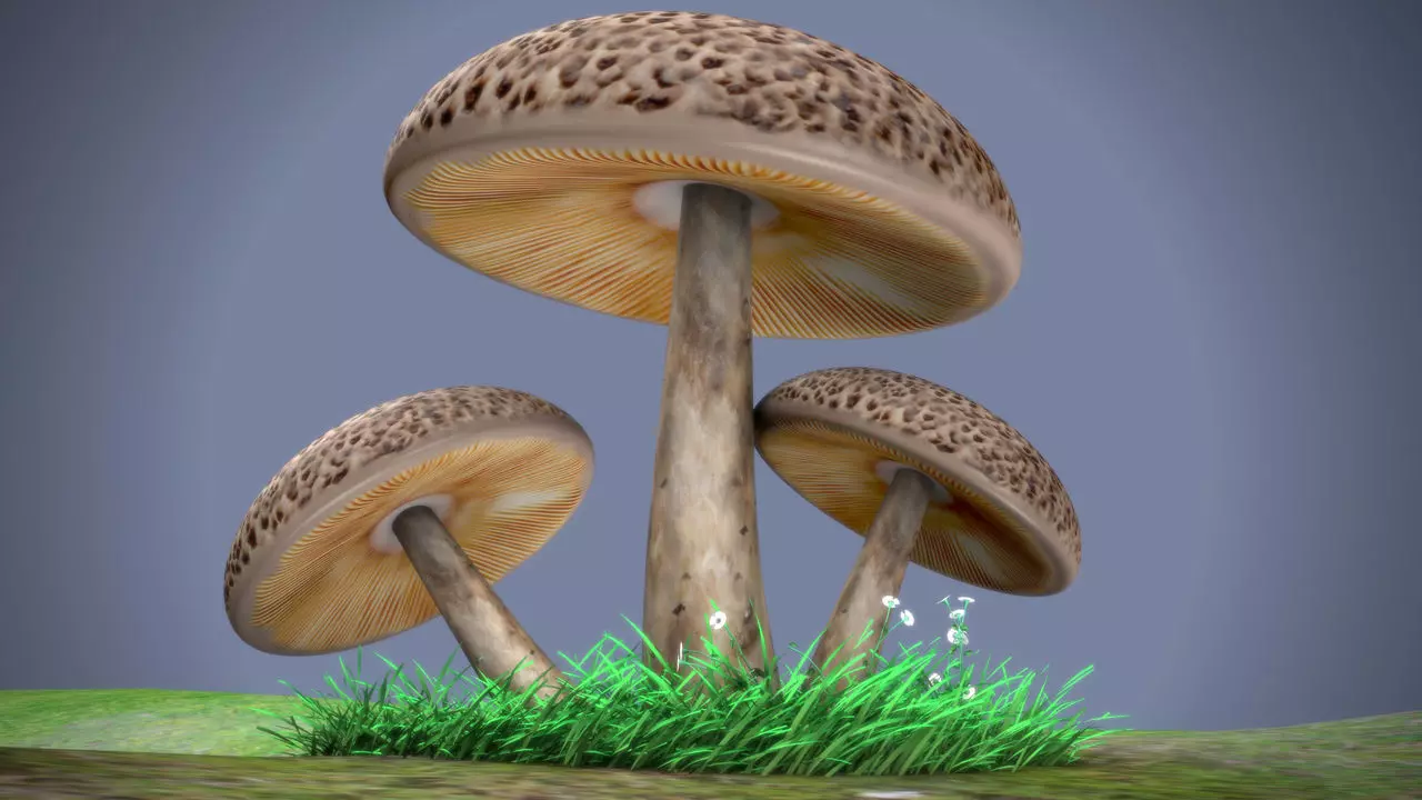mushrooms three on grassy field Low-poly 3D model_0