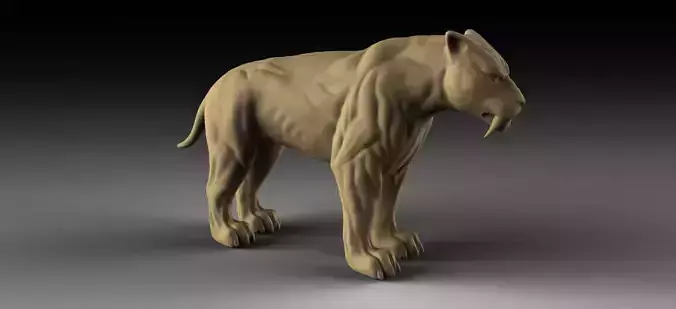 Sabertooth tiger