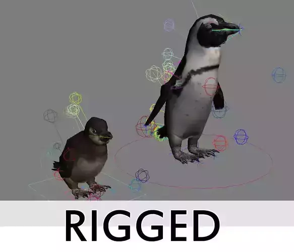 Penguins Rigged Low-poly 3D model