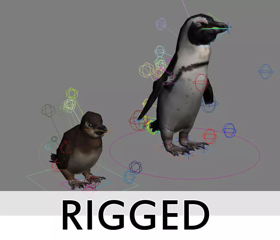 Penguins Rigged Low-poly 3D model_0