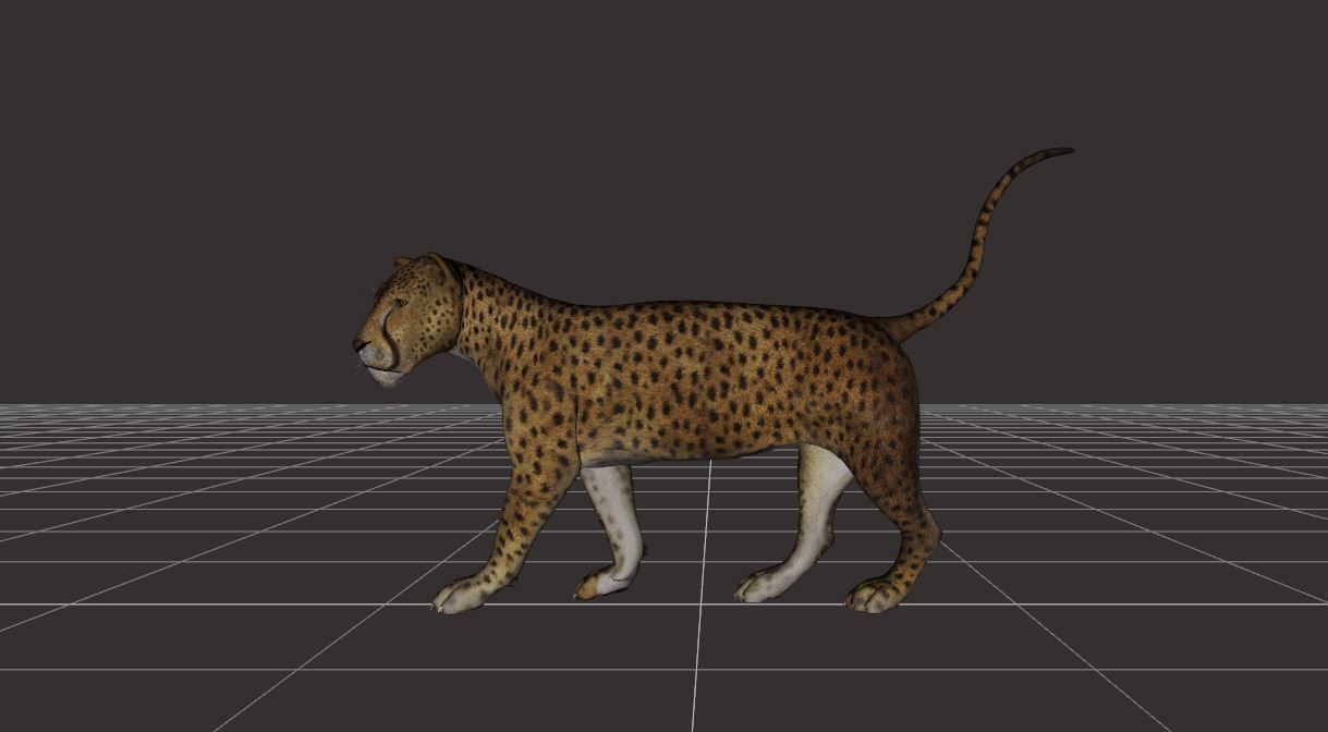 BIG ANIMAL PACK 3D model_20