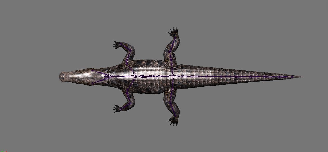 BIG ANIMAL PACK 3D model_1