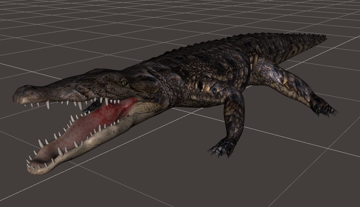 BIG ANIMAL PACK 3D model_6