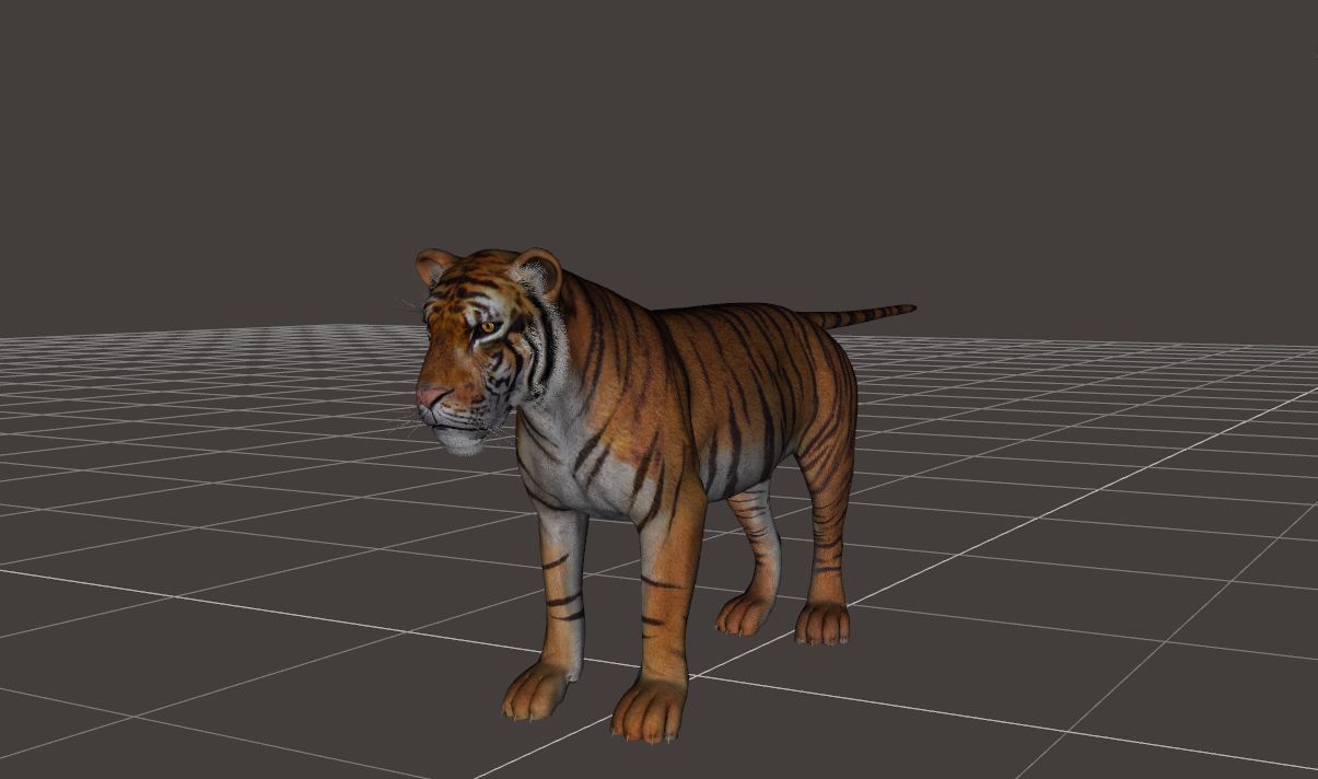 BIG ANIMAL PACK 3D model_32