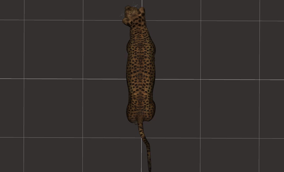 BIG ANIMAL PACK 3D model_22