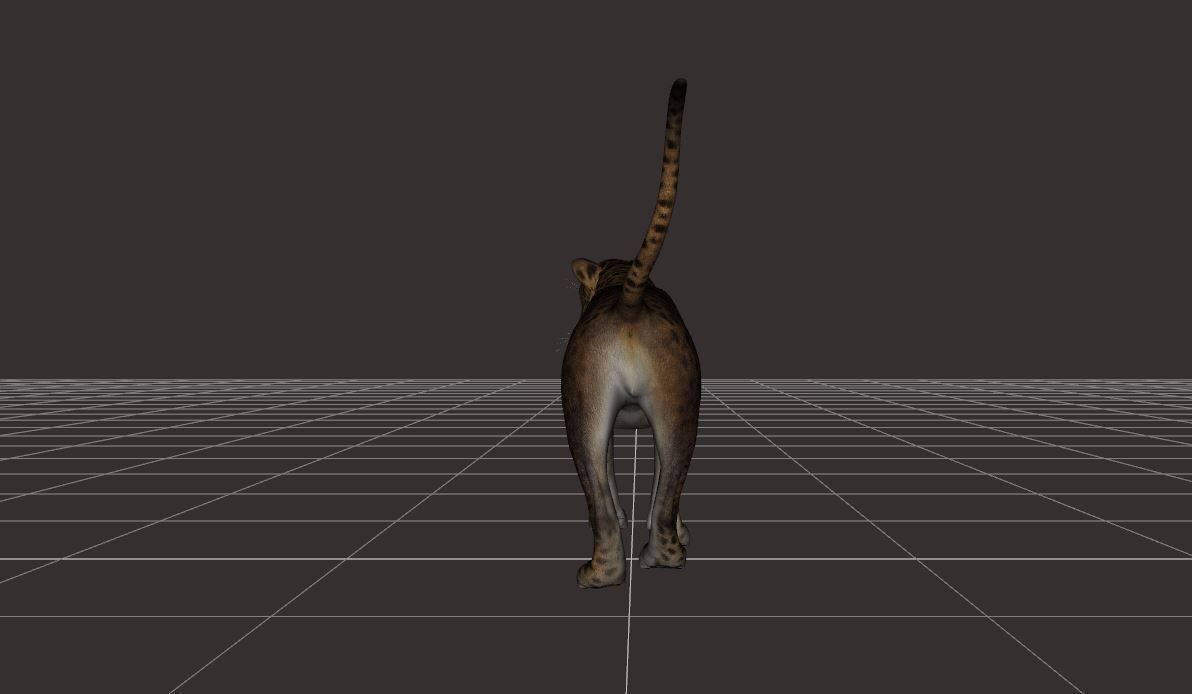 BIG ANIMAL PACK 3D model_19