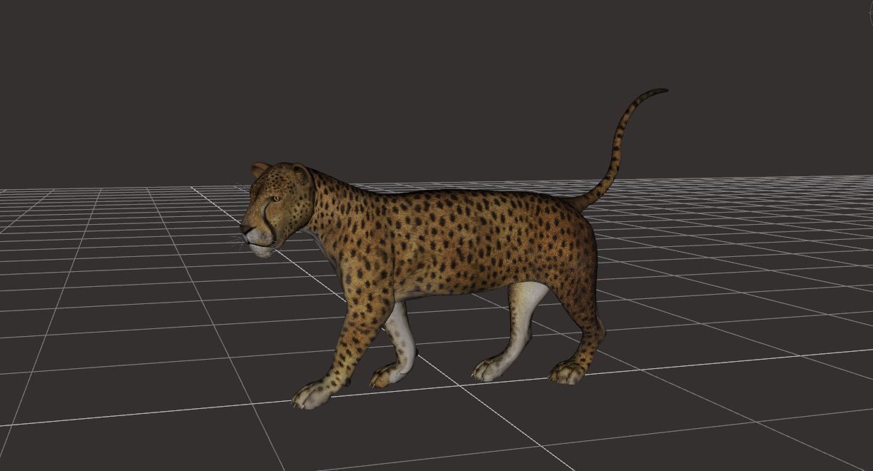 BIG ANIMAL PACK 3D model_21